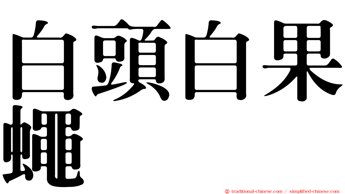 白頭白果蠅