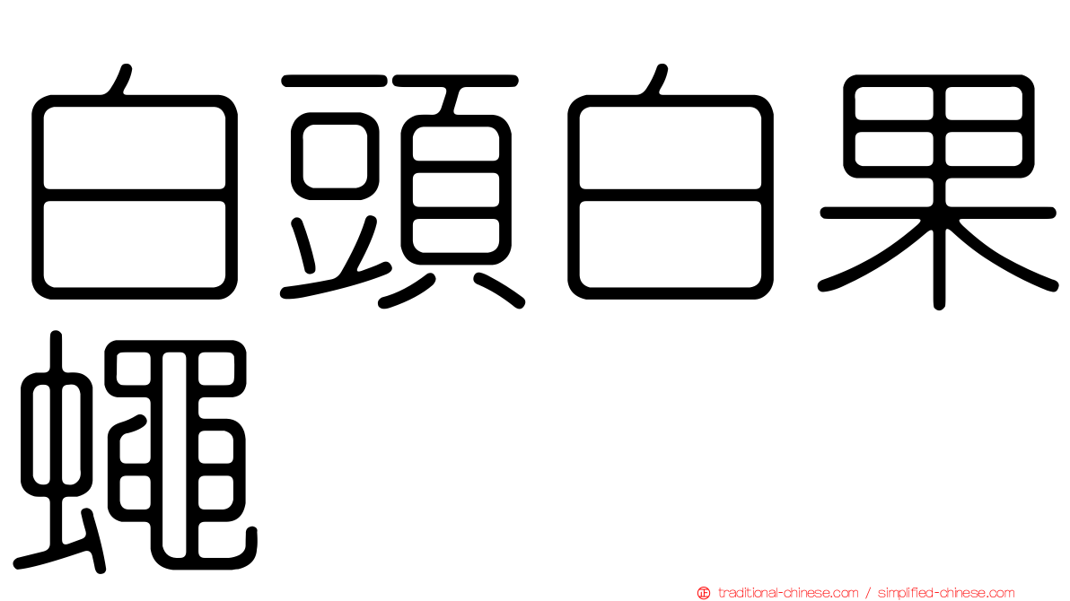 白頭白果蠅