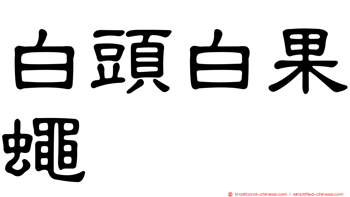白頭白果蠅