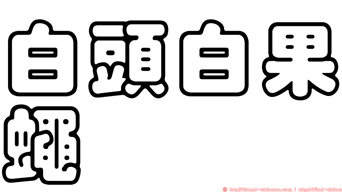 白頭白果蠅