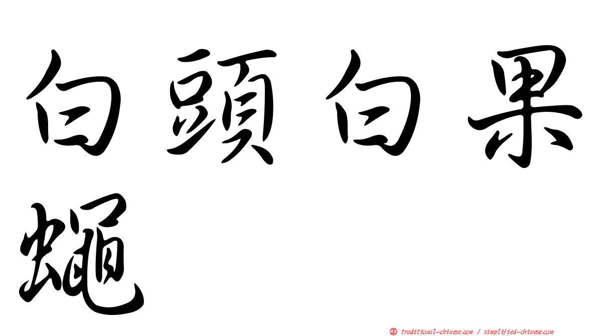 白頭白果蠅