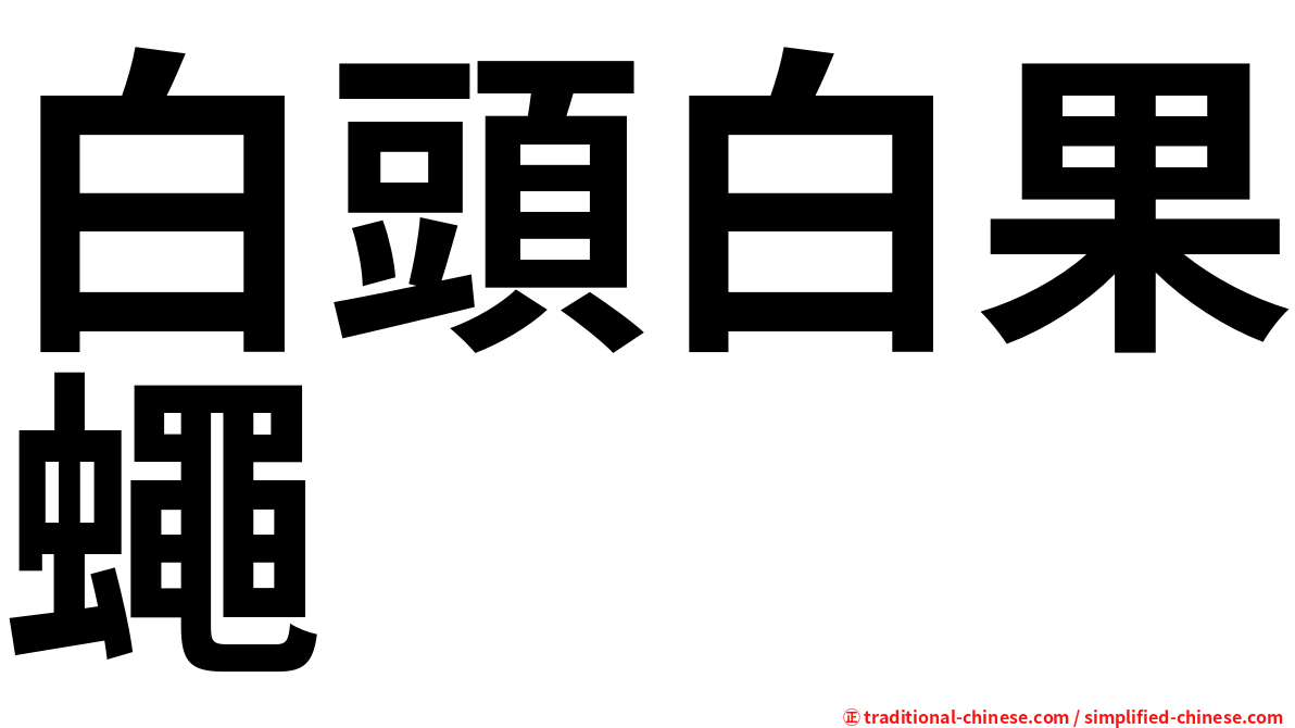白頭白果蠅