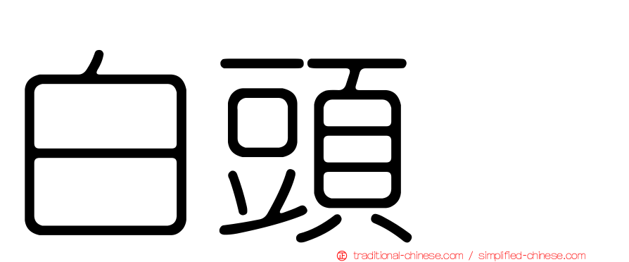 白頭鵐
