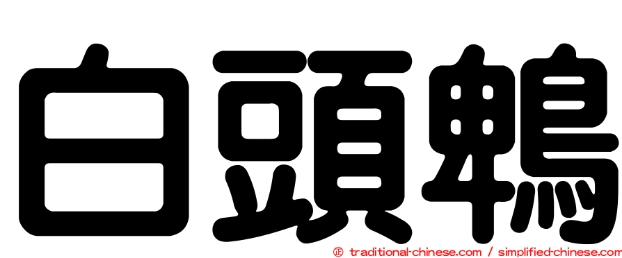 白頭鵯