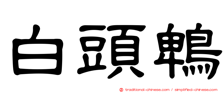 白頭鵯