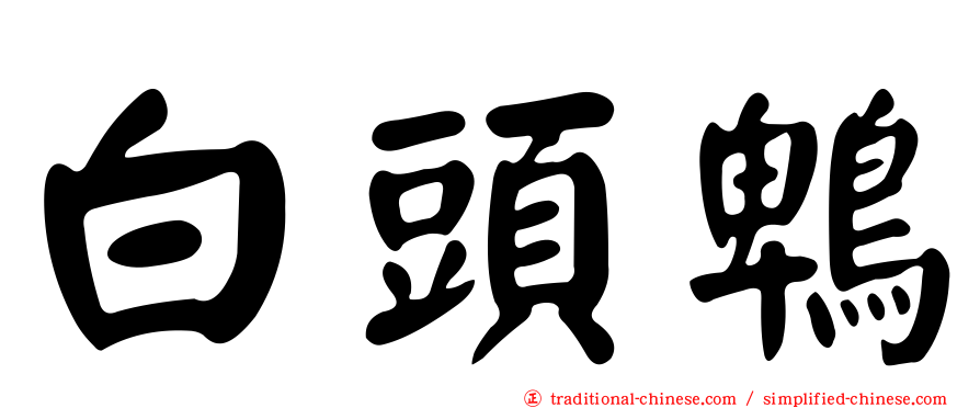 白頭鵯