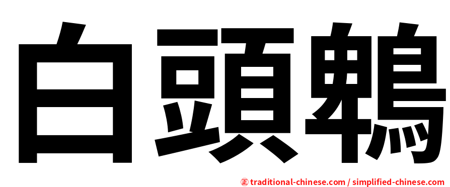 白頭鵯