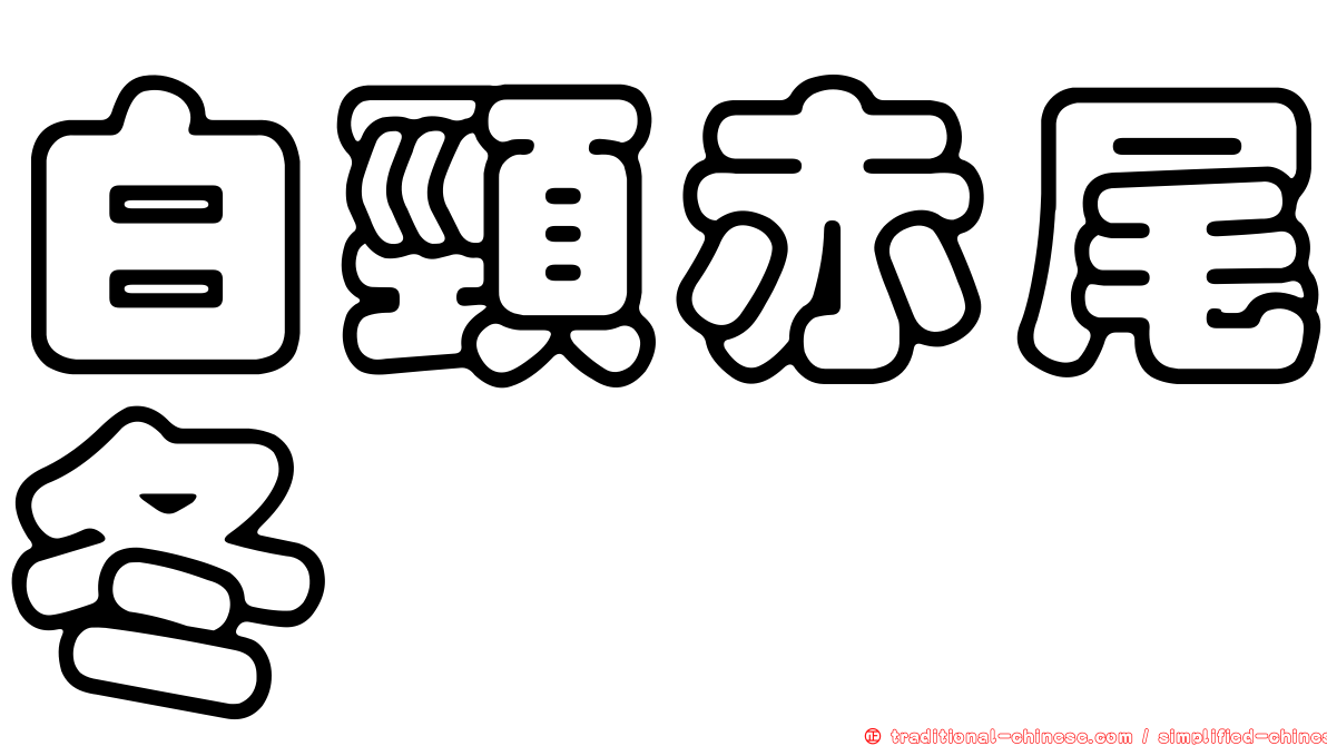 白頸赤尾冬
