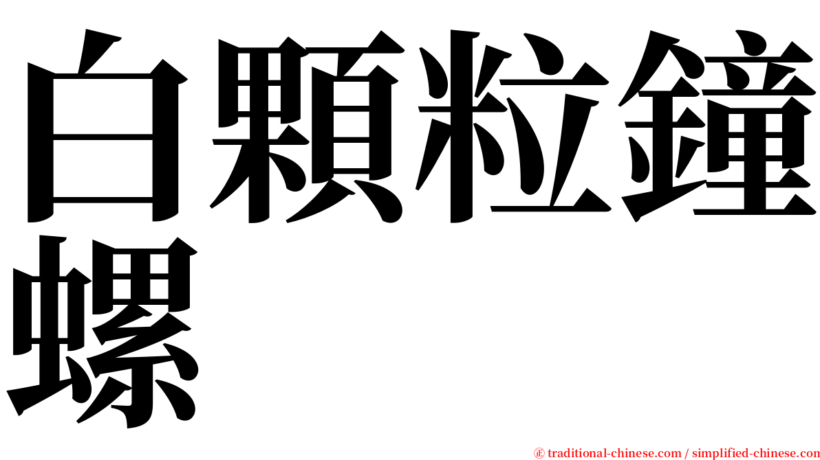 白顆粒鐘螺 serif font