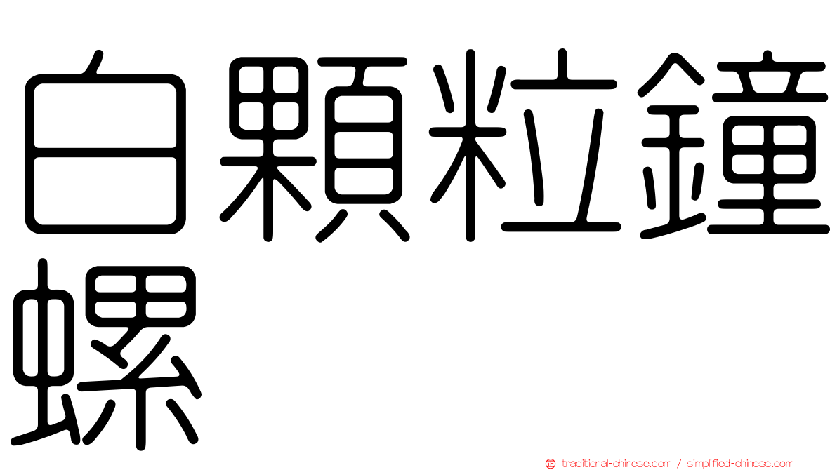 白顆粒鐘螺