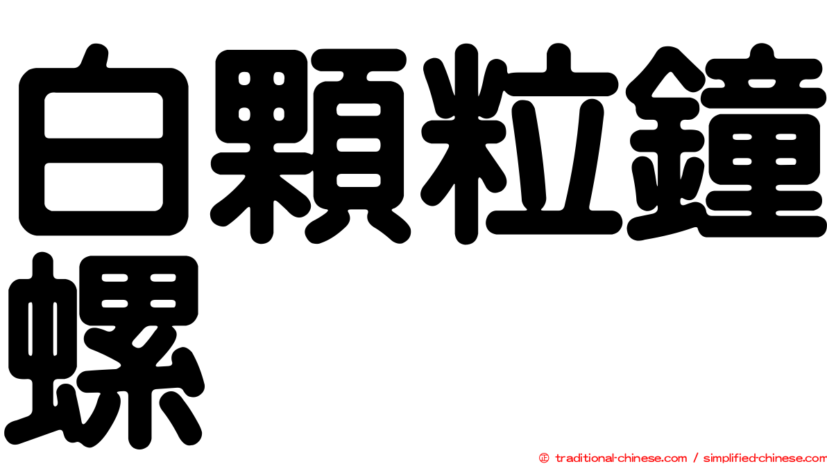 白顆粒鐘螺