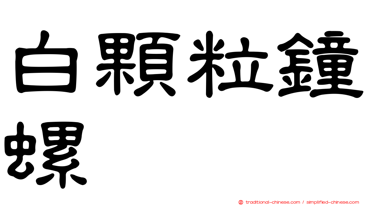 白顆粒鐘螺