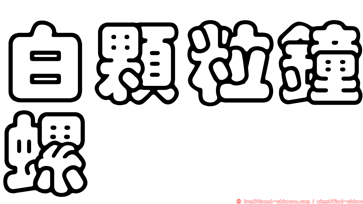 白顆粒鐘螺