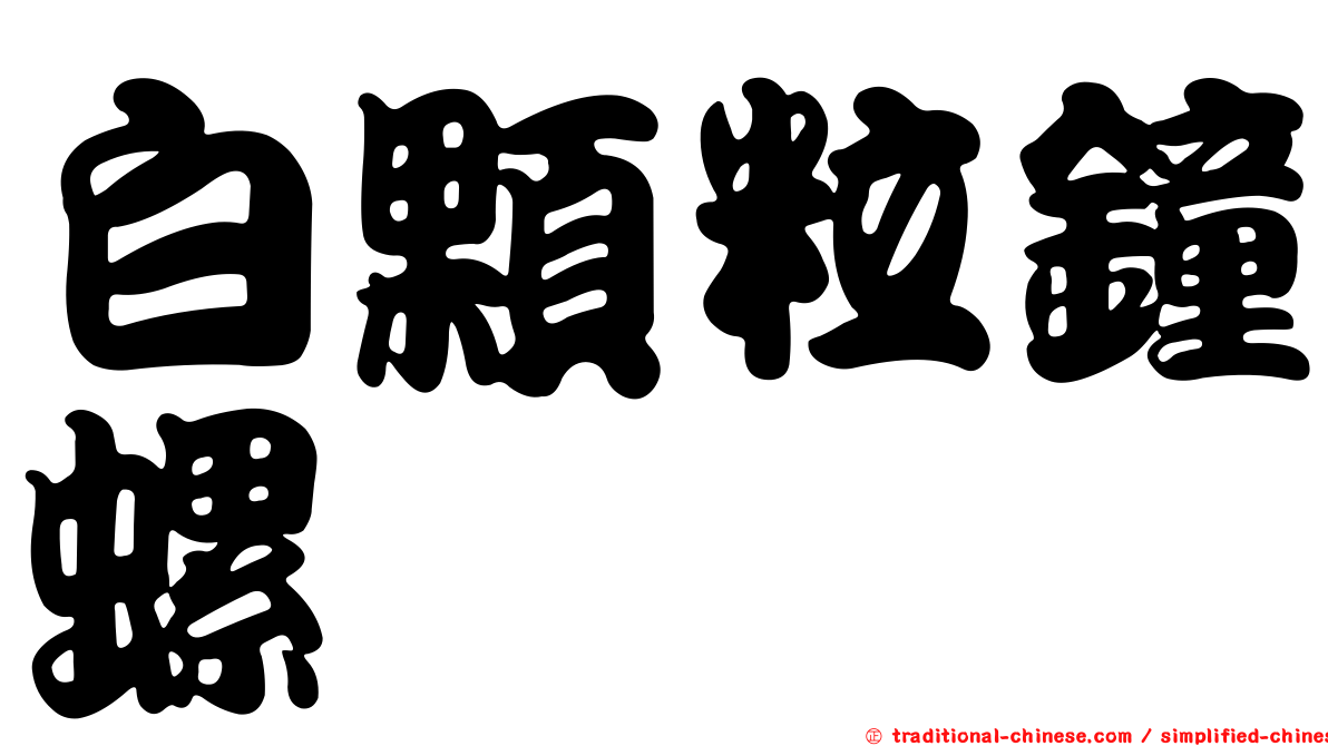 白顆粒鐘螺