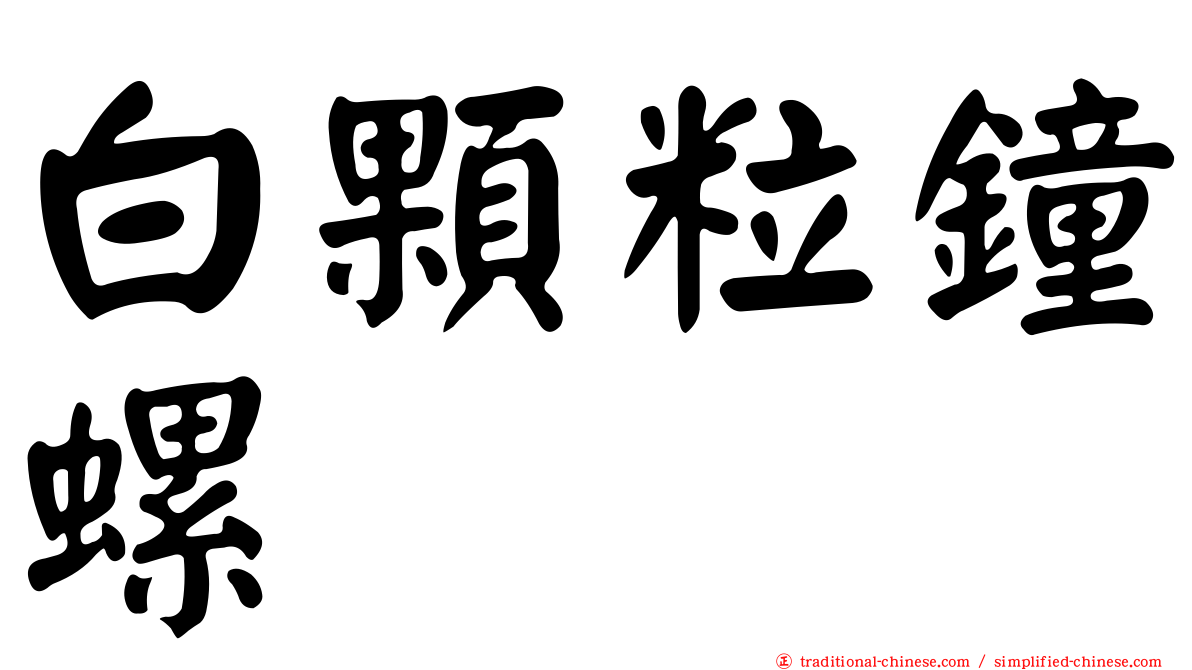 白顆粒鐘螺