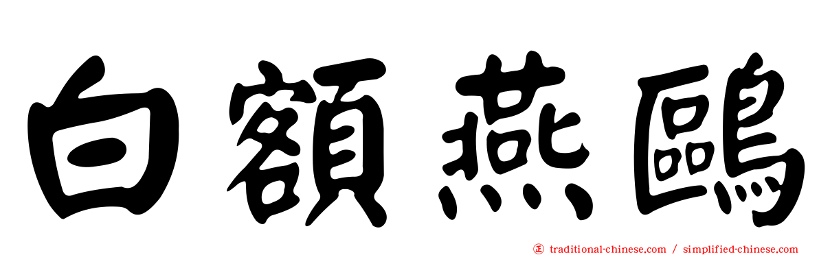 白額燕鷗