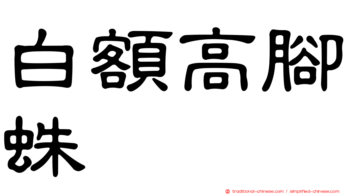白額高腳蛛
