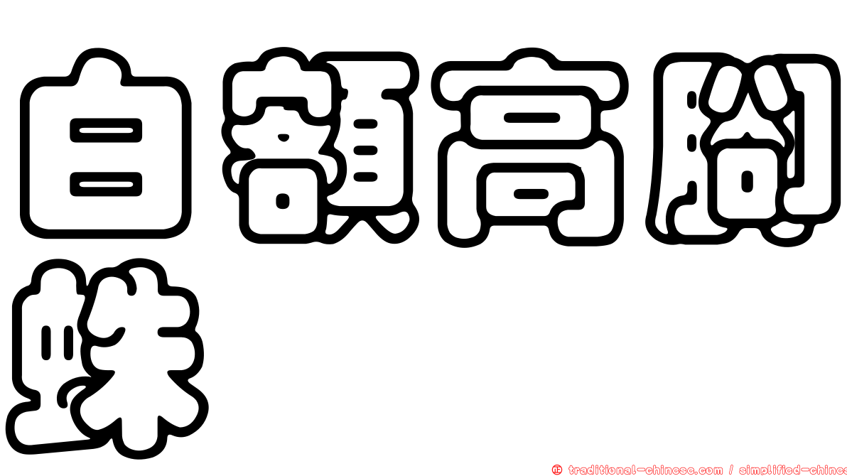 白額高腳蛛