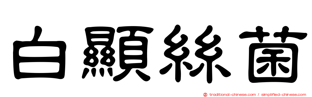 白顯絲菌