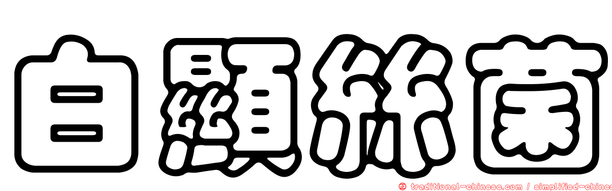 白顯絲菌