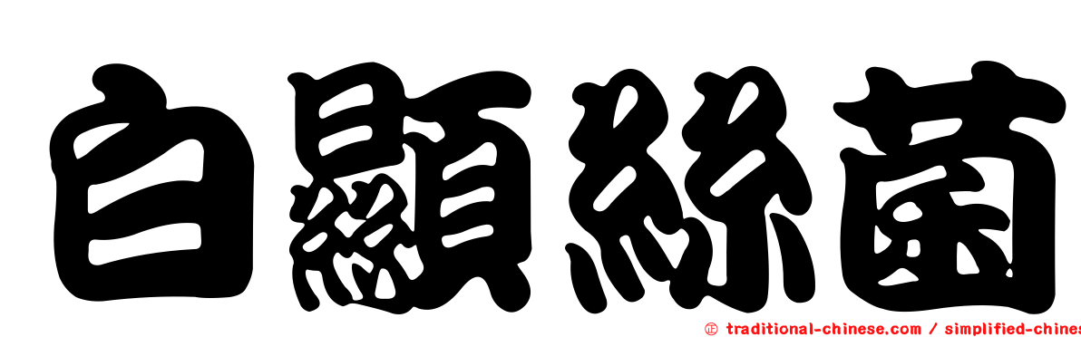 白顯絲菌