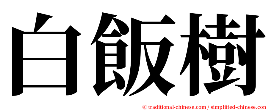 白飯樹 serif font