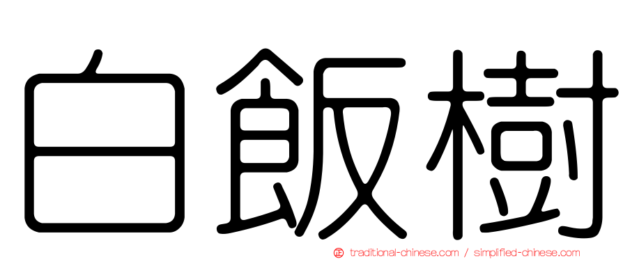 白飯樹