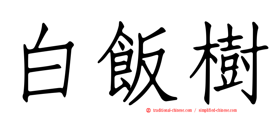 白飯樹