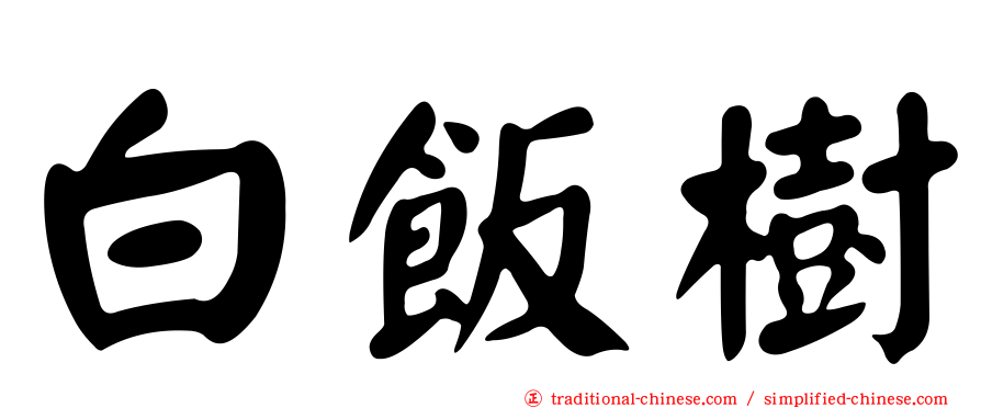 白飯樹