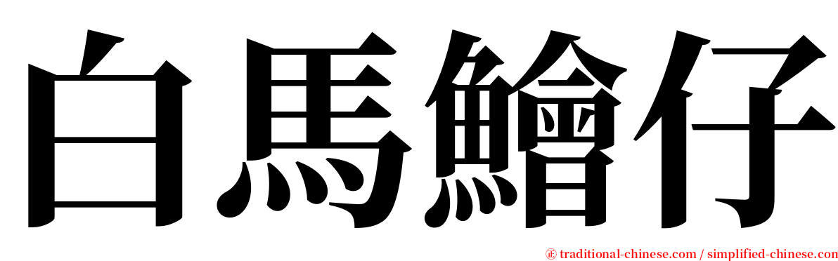 白馬鱠仔 serif font