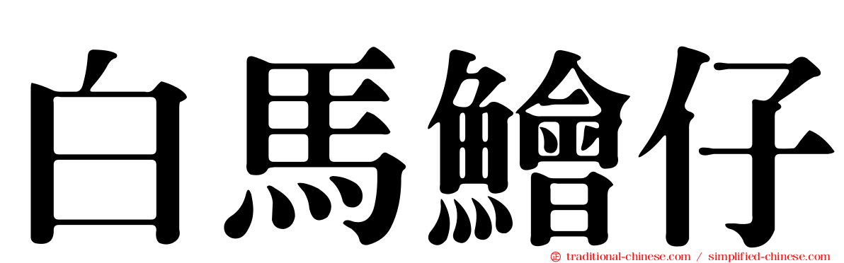 白馬鱠仔