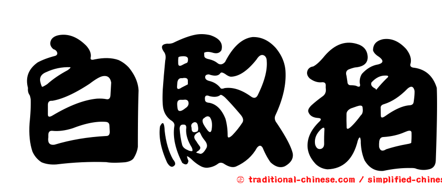白馭珀