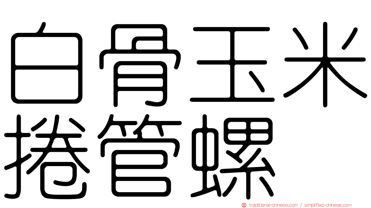 白骨玉米捲管螺