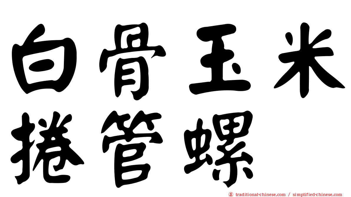 白骨玉米捲管螺