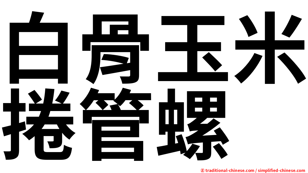 白骨玉米捲管螺