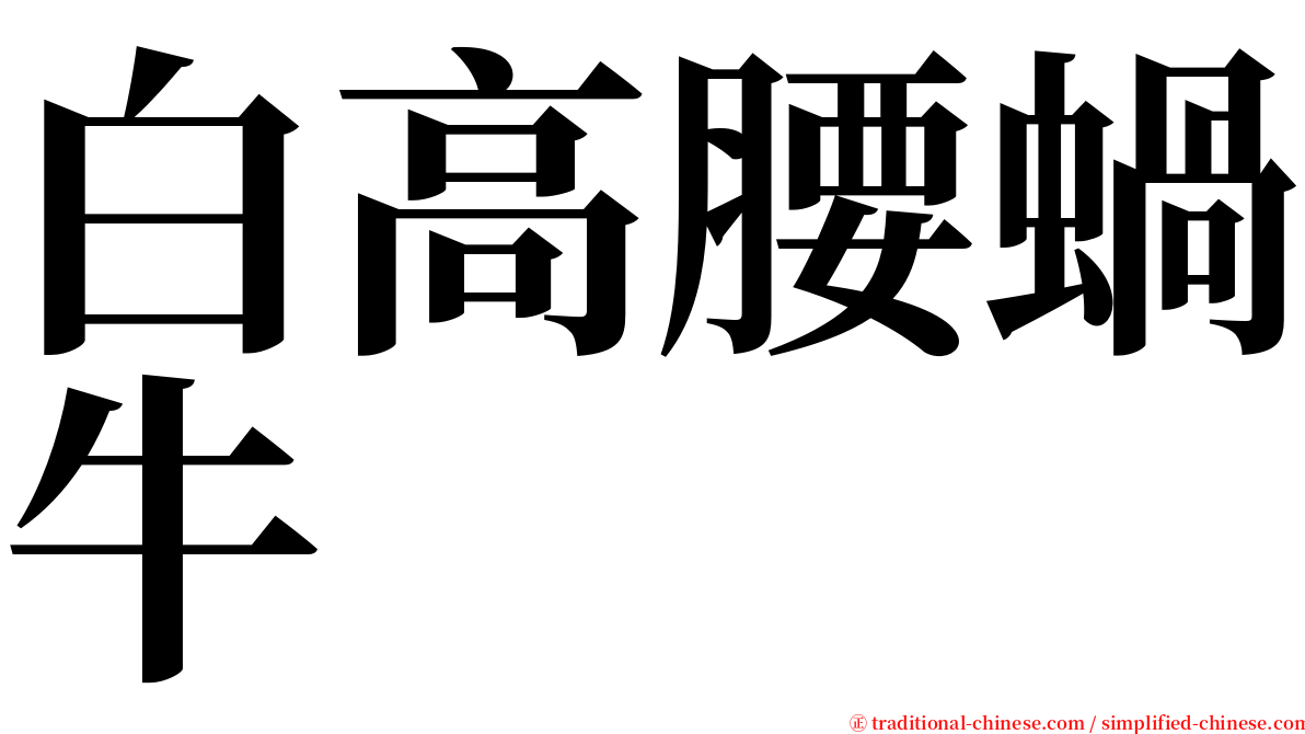 白高腰蝸牛 serif font