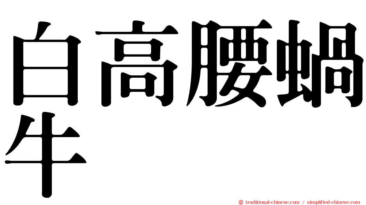 白高腰蝸牛