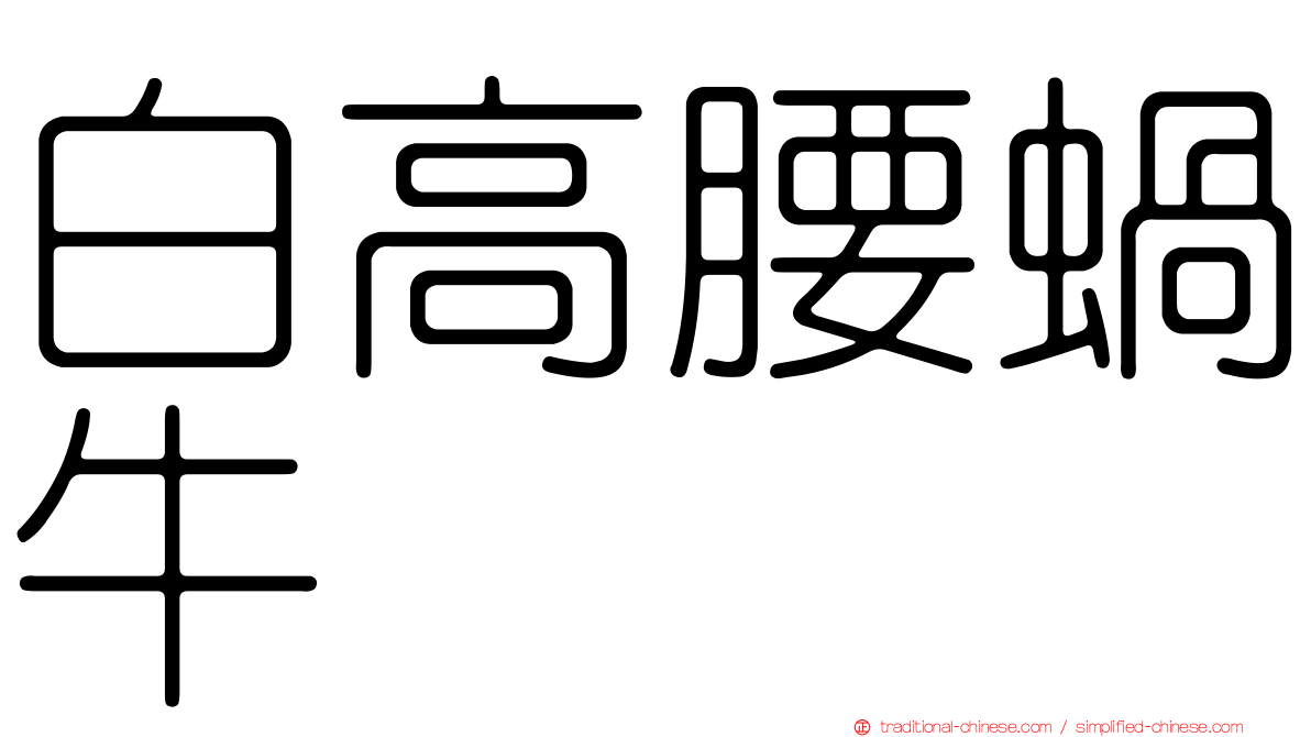 白高腰蝸牛