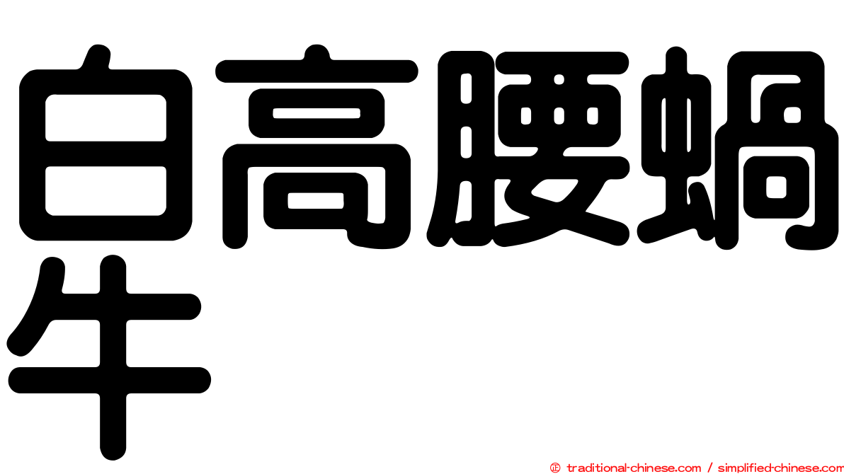白高腰蝸牛