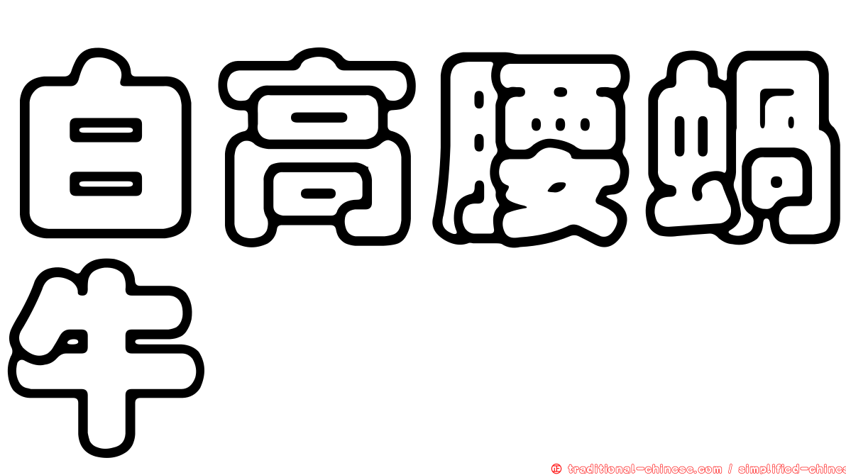 白高腰蝸牛