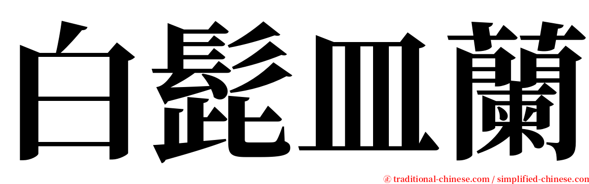 白髭皿蘭 serif font