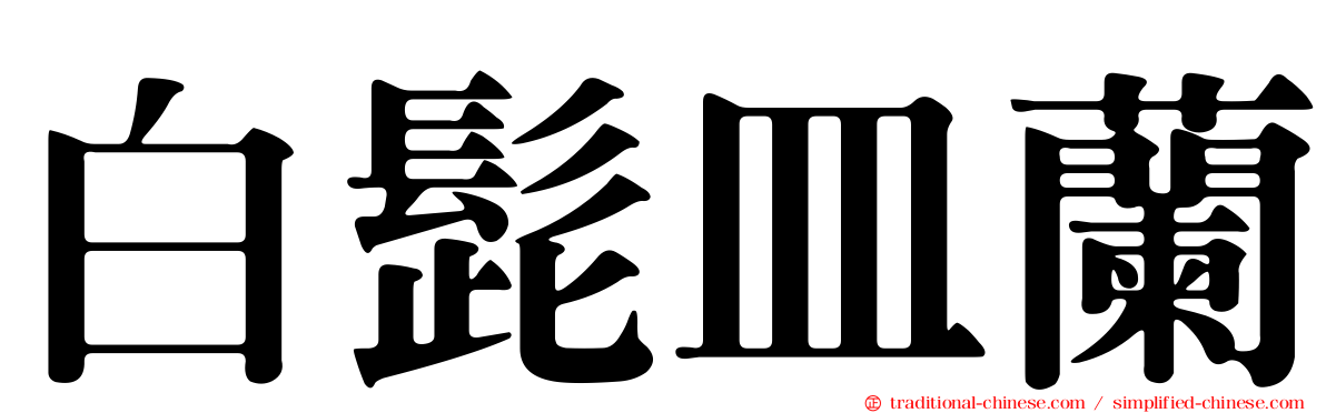 白髭皿蘭