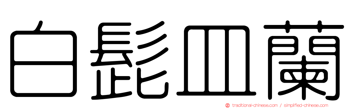 白髭皿蘭