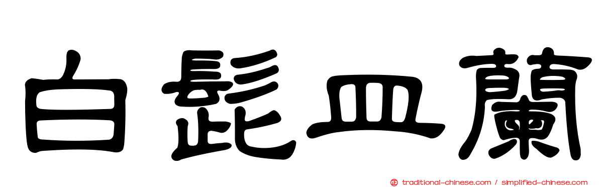 白髭皿蘭
