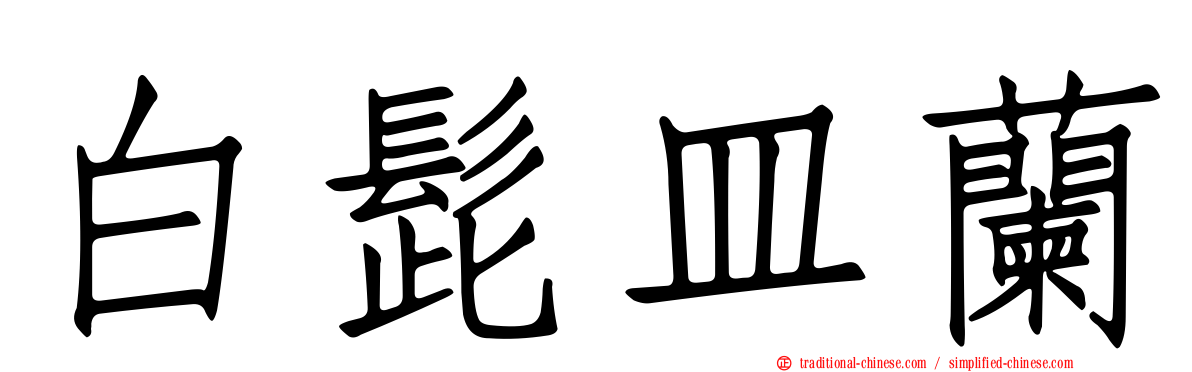白髭皿蘭