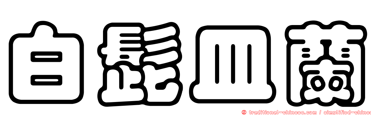 白髭皿蘭