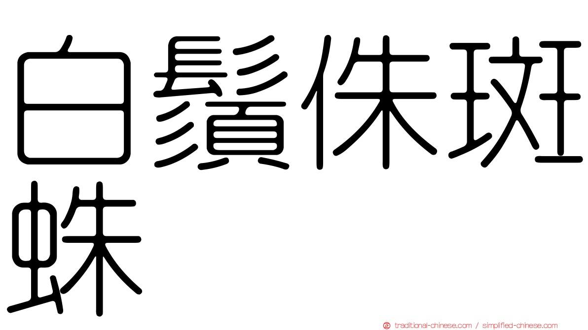 白鬚侏斑蛛