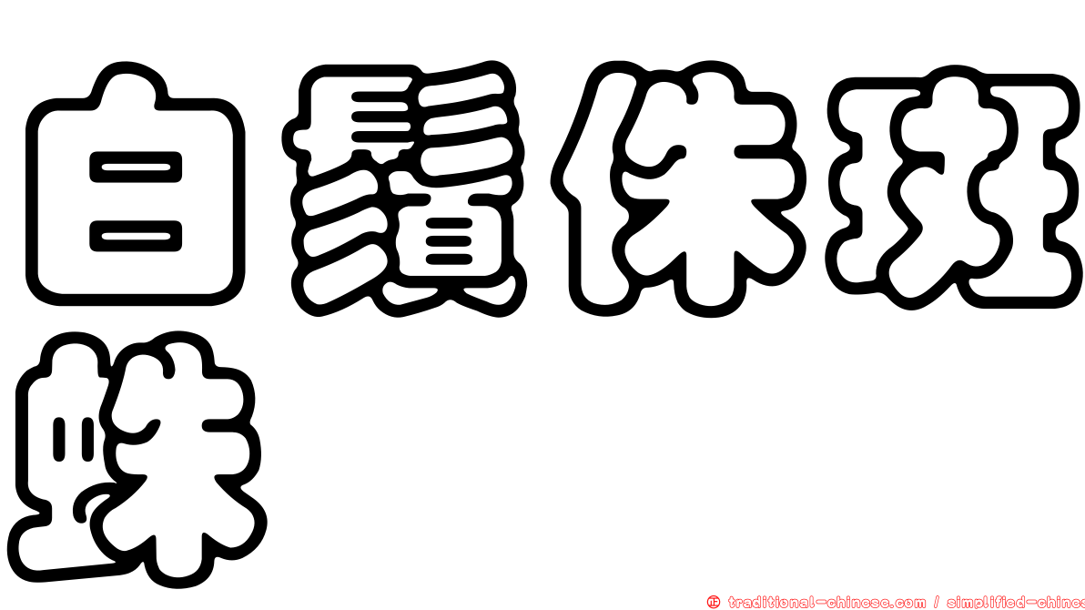 白鬚侏斑蛛
