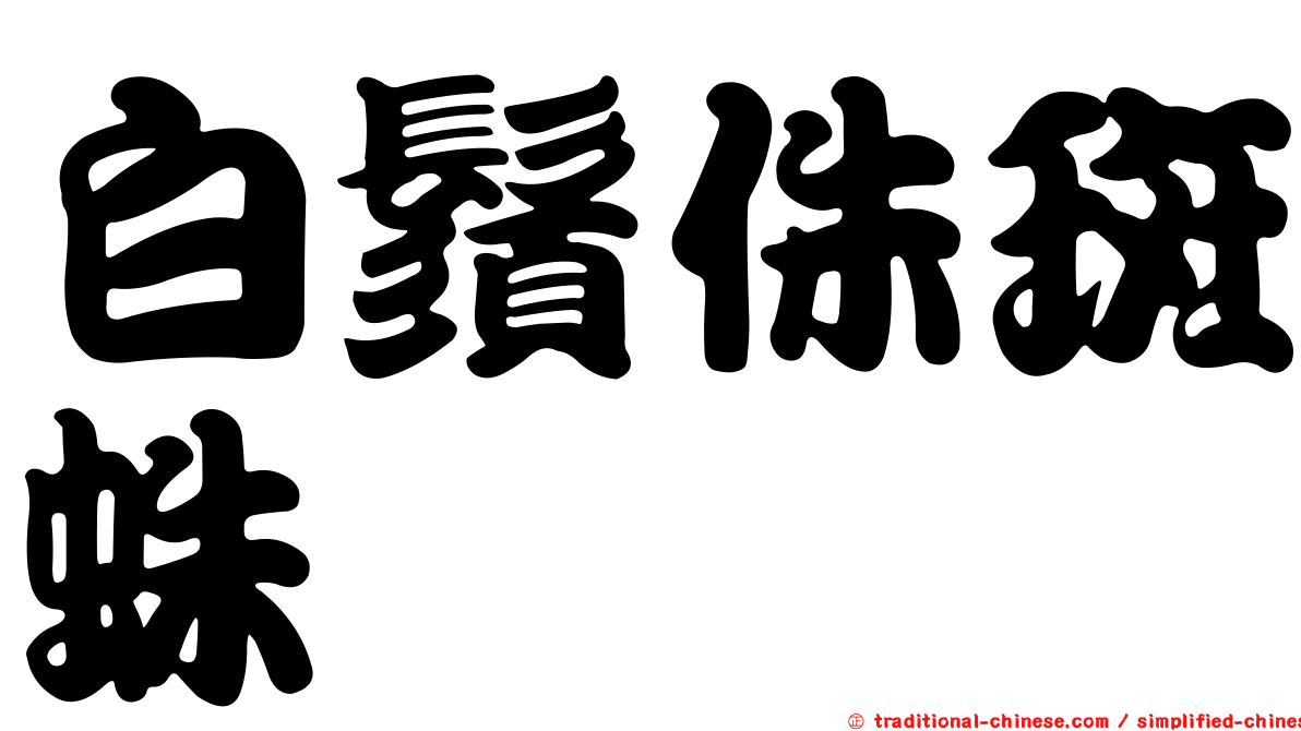 白鬚侏斑蛛