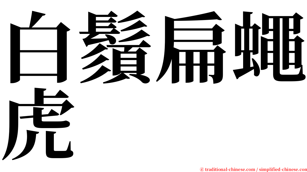 白鬚扁蠅虎 serif font